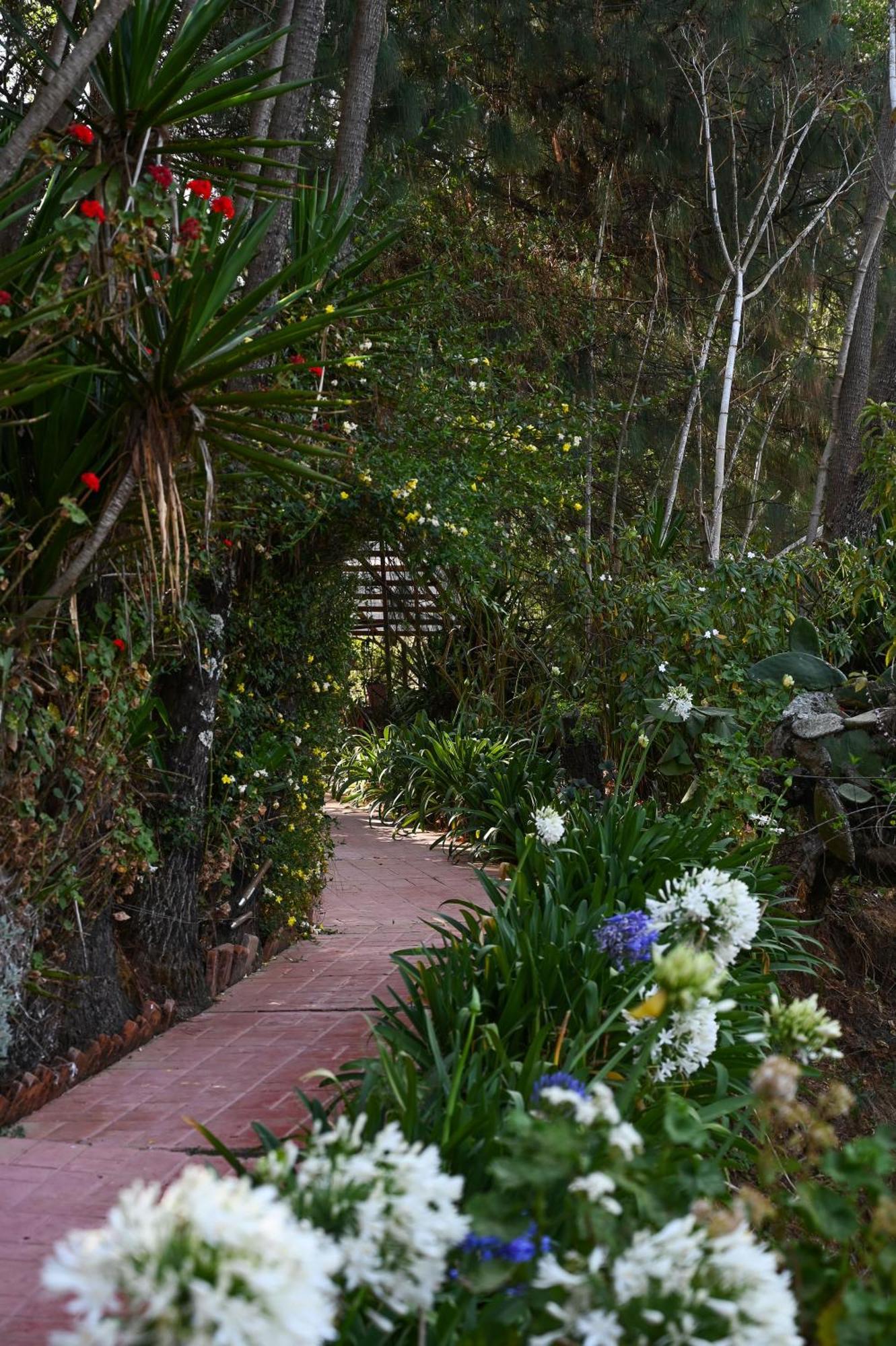 San Jose Del Pacifico- Cabanas Camino Al Cielo 1 Экстерьер фото